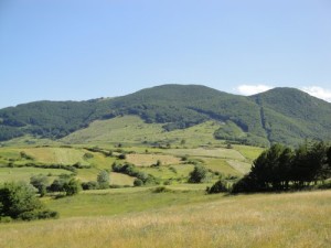 Monte Capraro